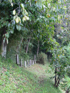 中之条忍者唐沢玄蕃お墓