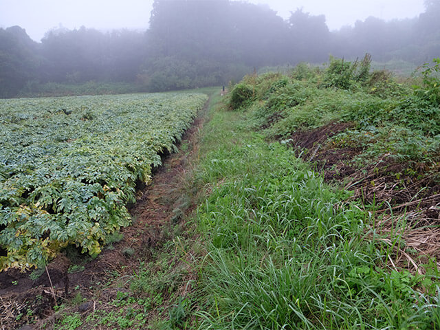 中之条割田下総お墓までの道
